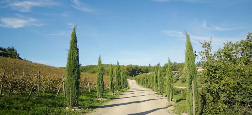 Florence: Chianti, Montalcino & Montepulciano Private Tour