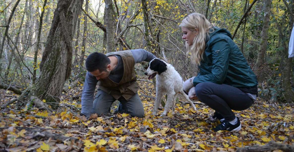 Florence: Truffle Hunting, Food, and Wine Tour for Gourmet