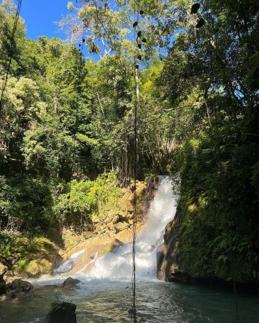 Floyd’s Pelican Bar, Ys Falls and Black River Safari Tour