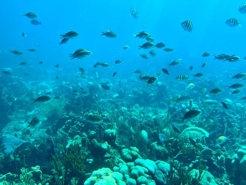 For Costa Cruise Ship Passengers: Visit of Saona Island