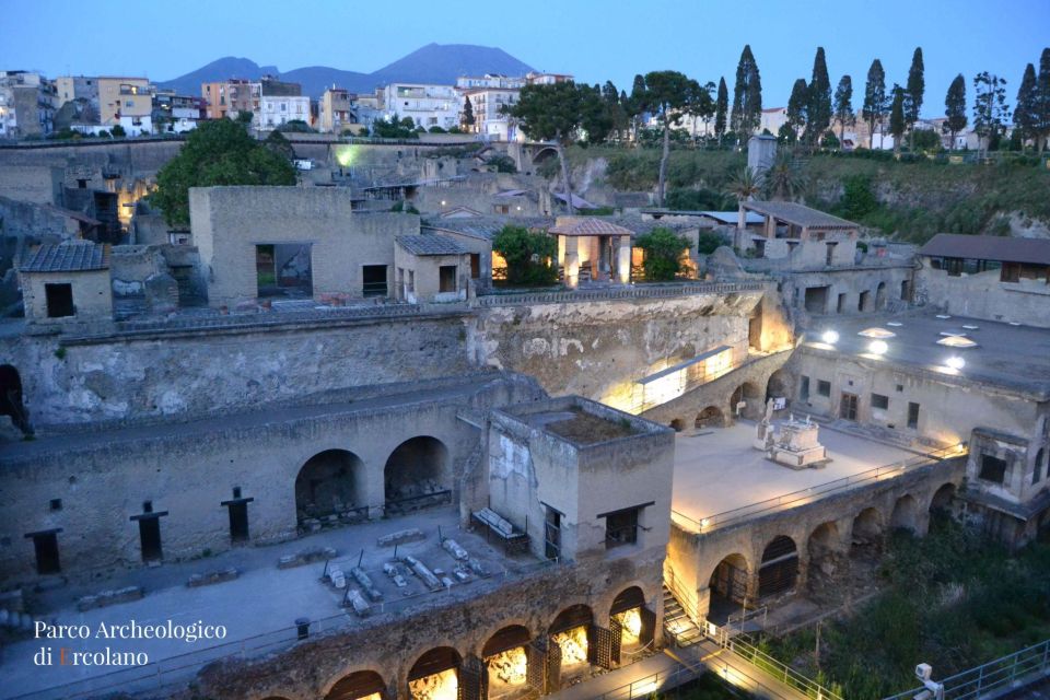 For Groups: Guided Tour of Pompeii and Herculaneum Excavations From Naples