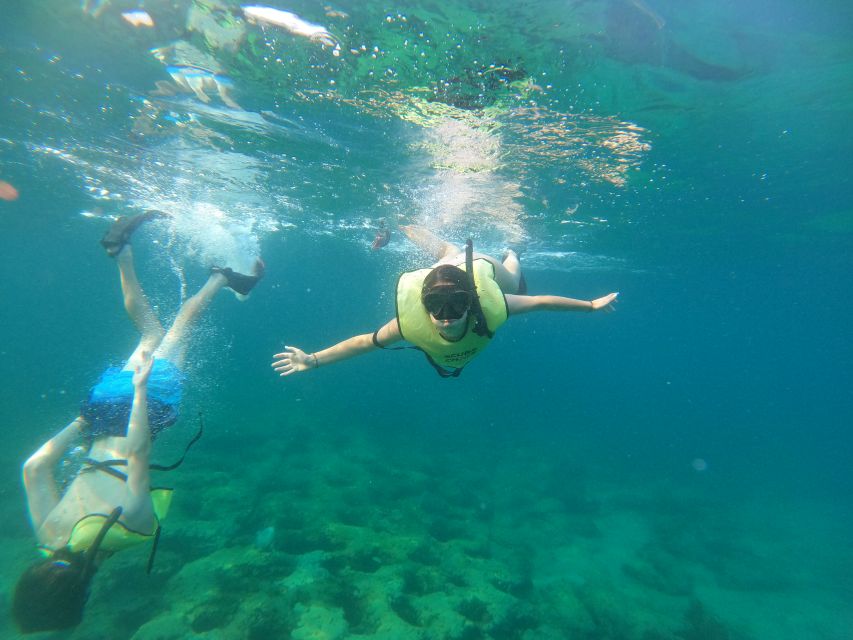 Fort Lauderdale: Guided Snorkeling Reef Tour and Lesson