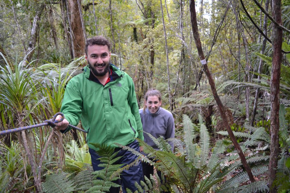 Franz Josef Glacier: 2.5-Hour Lake Mapourika Cruise and Walk - Activity Details