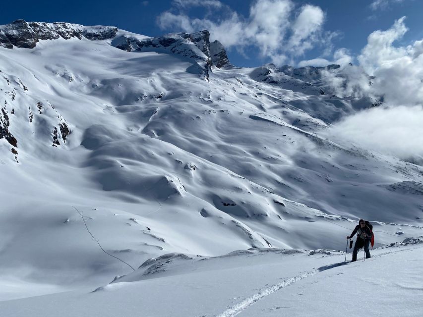 Freshfields/Lambe Glacier: Ski Basecamp - Overview of the Ski Basecamp