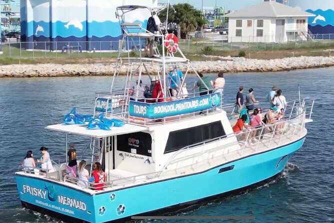 Frisky Mermaid Public Dolphin + Sightseeing Cruise Up to 49 Pax