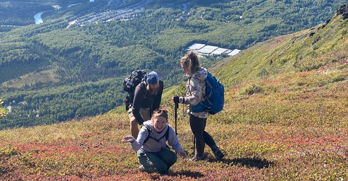 From Anchorage: Chugach State Park Guided Alpine Trek