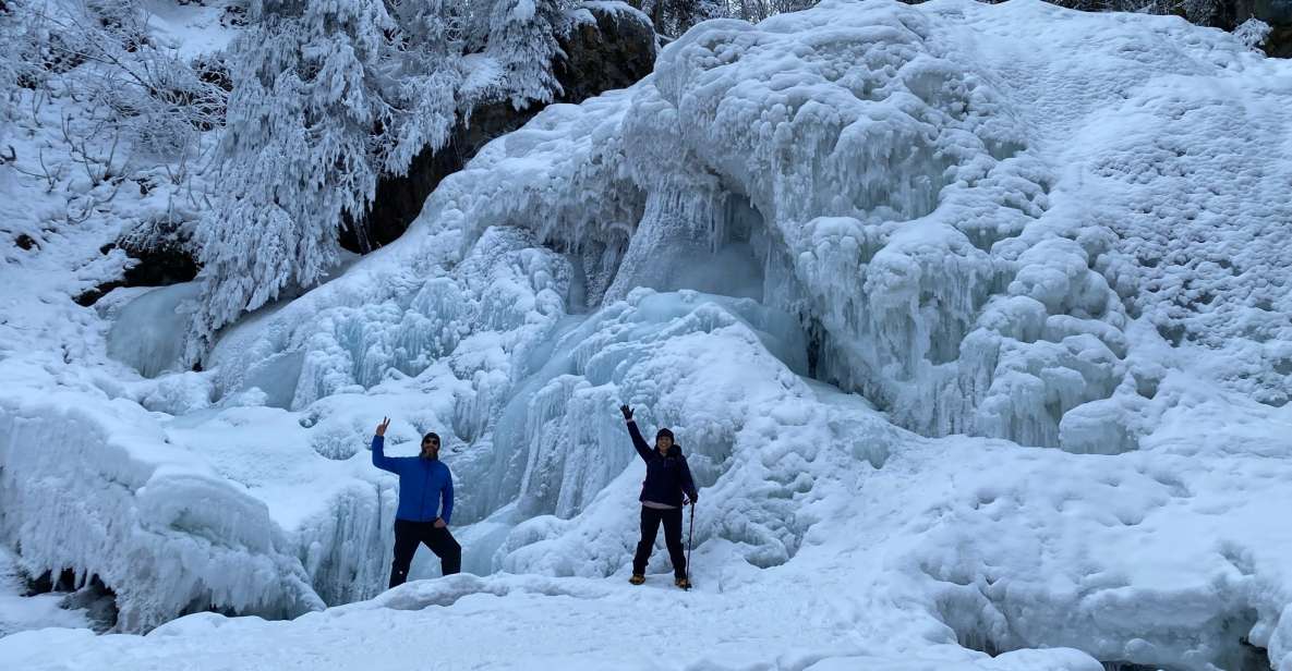 From Anchorage: Chugach State Park Winter Walking Tour