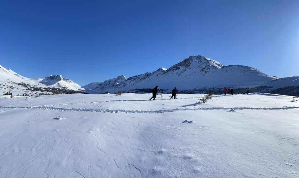 From Anchorage: Glen Alps Beginners Snowshoeing Adventure - Highlights of the Trip