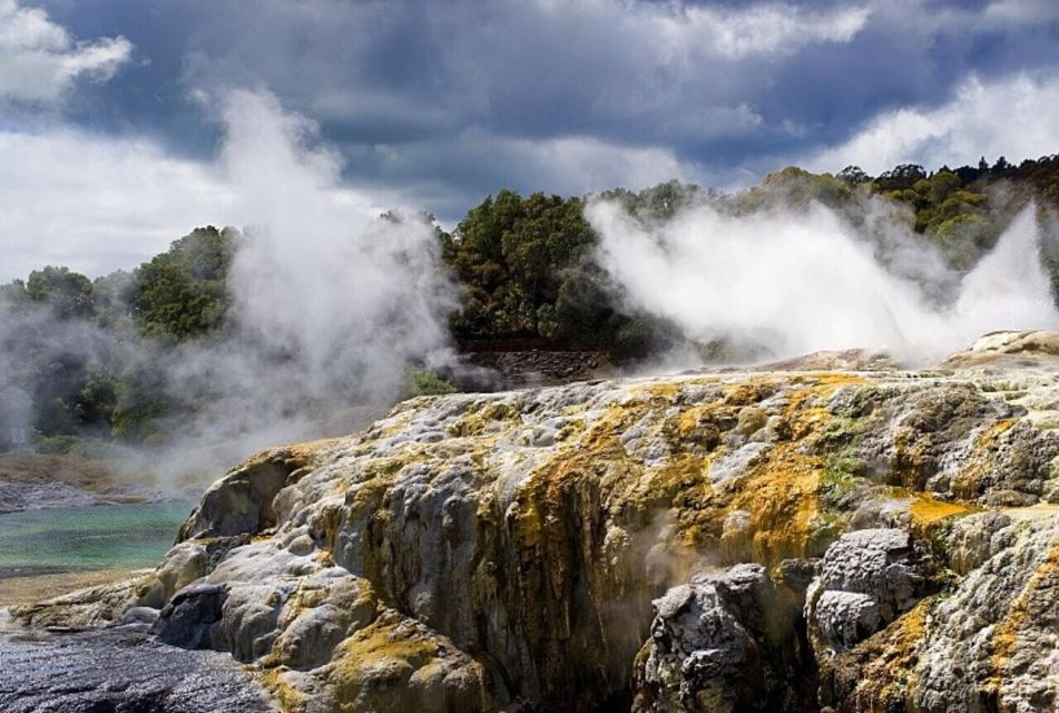 From Auckland: Rotorua Maori Village & Polynesian Spa Tour