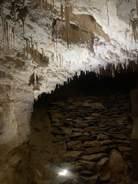 From Auckland: Waitomo Caves and Kiwi House Group Tour