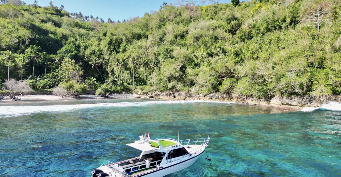 From Bali: Nusa Penida Private Snorkeling Tour With Lunch