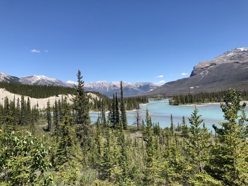 From Banff: Icefield Parkway Scenic Tour With Park Entry