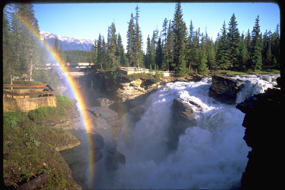 From Banff/Lake Louise: 1-Way Sightseeing Tour to Jasper