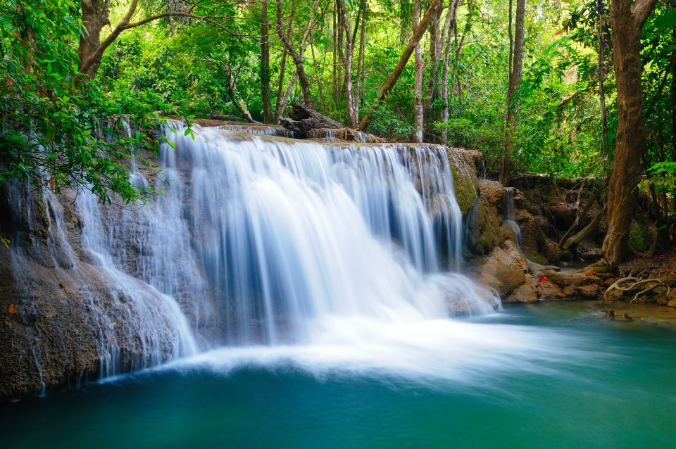 From Bangkok: Erawan Park & Elephant Feeding Private Tour