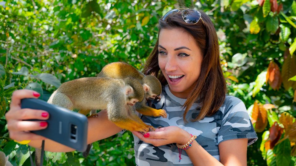 From Bayahibe: Half Day Monkeyland Safari