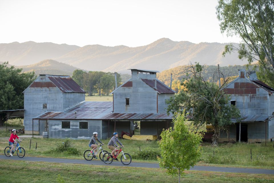 From Beechworth: 3-Day Murray to Mountains Trail Biking Tour