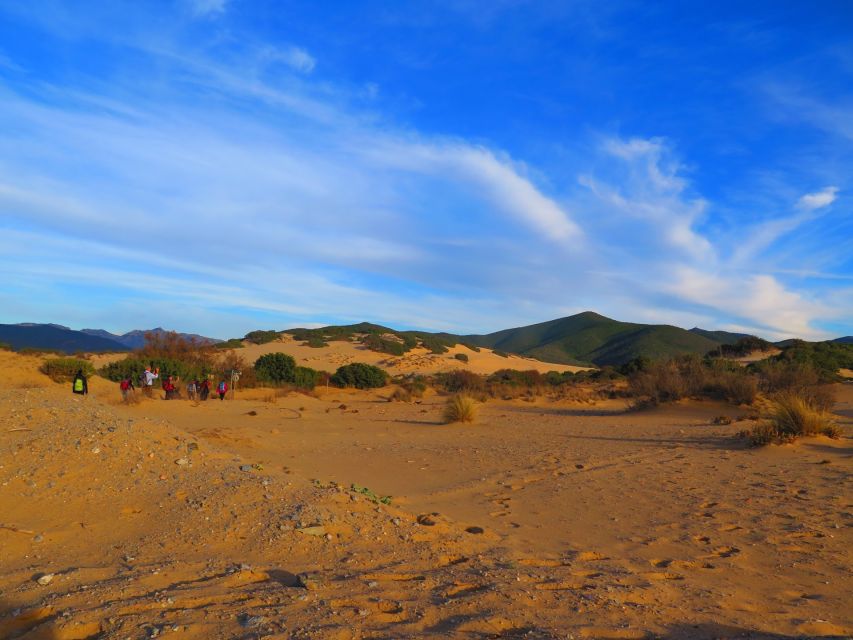 From Cagliari: Piscinas Old Mines and Montevecchio Tour