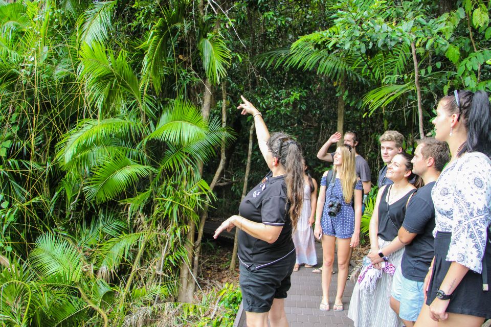 From Cairns: Daintree Wilderness & Cape Tribulation Bus Tour