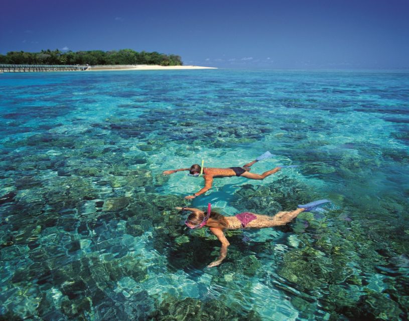 From Cairns: Green Island Half-Day Morning Cruise