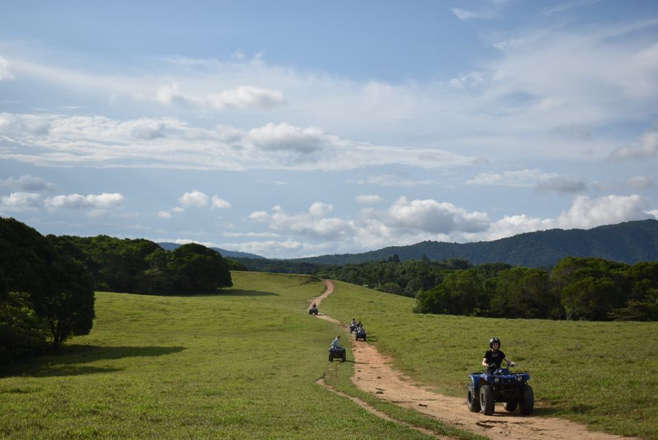 From Cairns: Kuranda Day Trip With Petting Zoo and Quad Ride