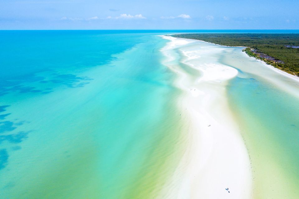 From Cancun or Puerto Morelos: Holbox Boat Tour With Lunch