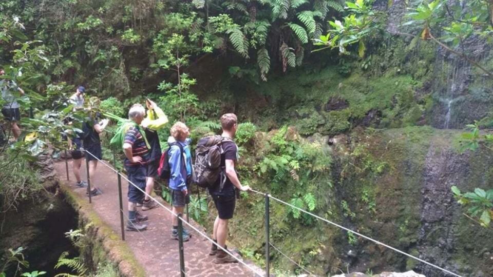 From Caniço/Funchal: Levada Caldeirão Verde Hiking Trip