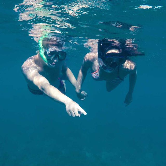 From Cannigione: Private Caprera Snorkeling Trip by Boat