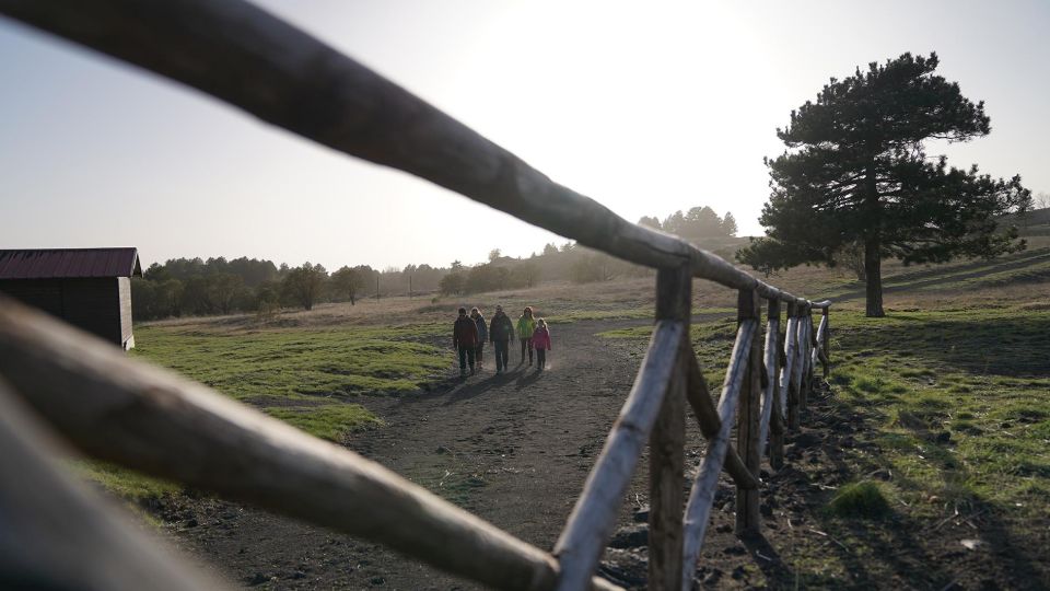 From Catania: Private Mount Etna Trek