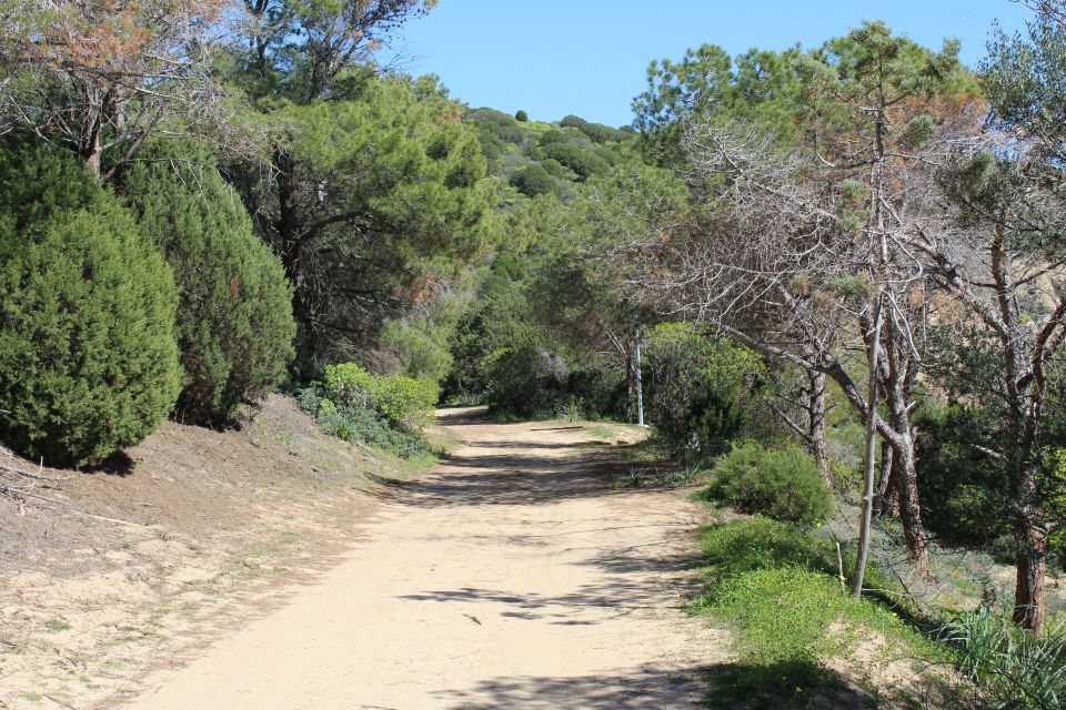 From Chia: Private Half-Day Ancient Roman Road Hiking Tour