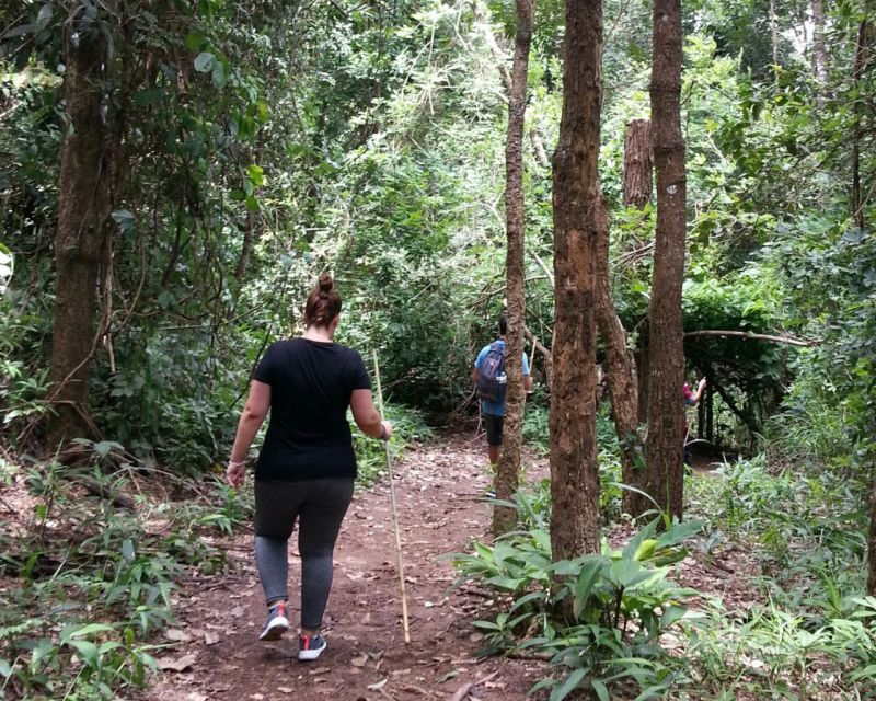 From Chiang Mai: Doi Inthanon National Park Day Trip & Hike