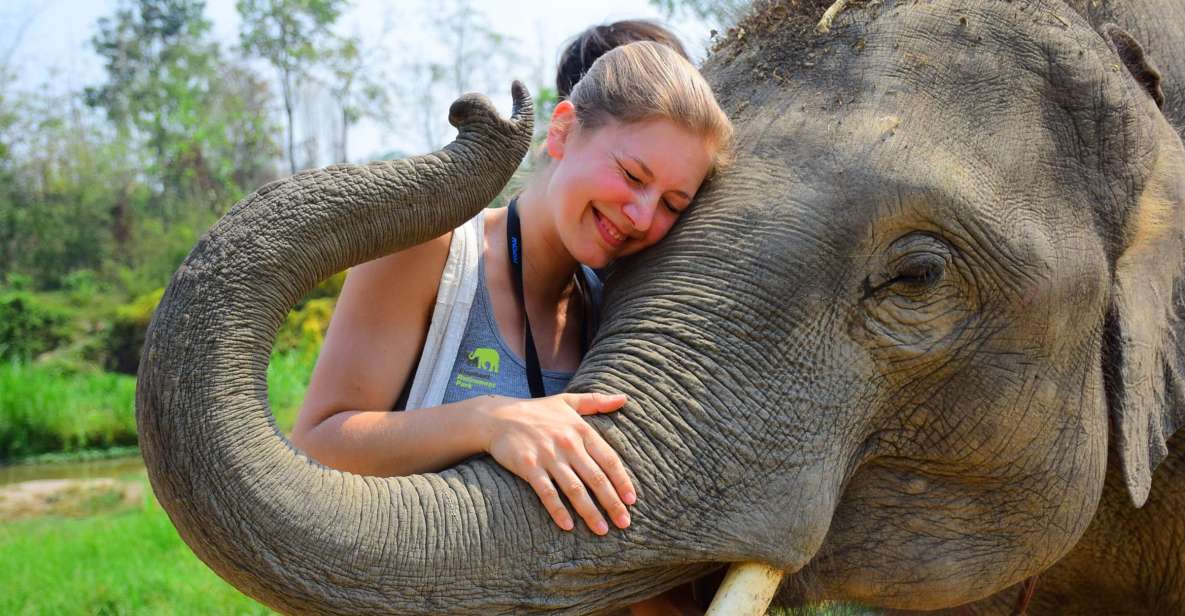 From Chiang Mai: Elephant Care Program and Nursery Tour - Highlights of the Tour