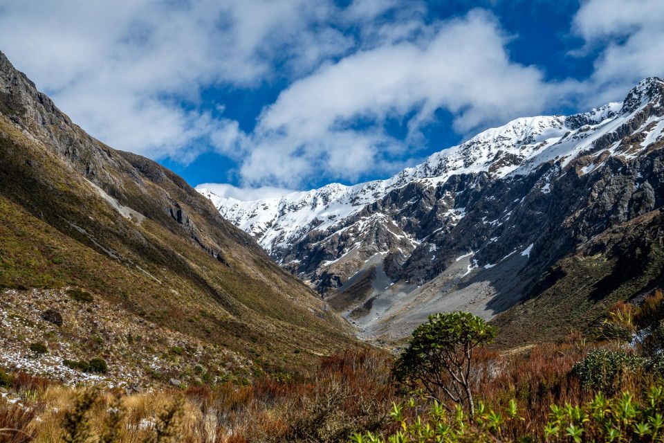 From Christchurch: Arthurs Pass and Tranzalpine Day Tour