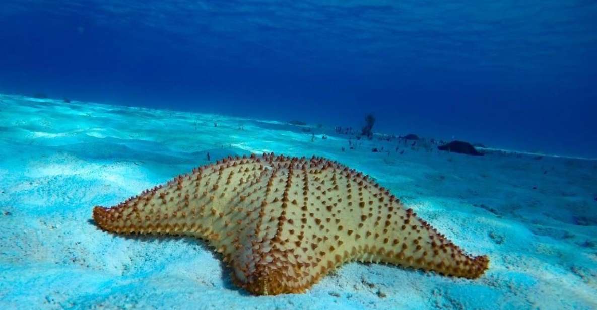 From Cozumel: 3 Reefs Boat Tour With Drinks and Snorkeling