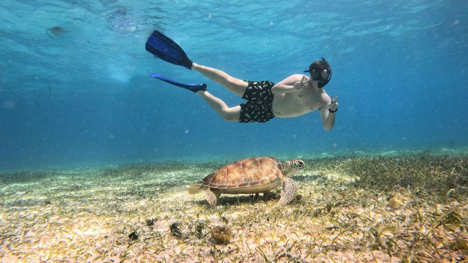 From Cozumel: Private Snorkeling Charter to El Cielo & Cielito - Itinerary Overview