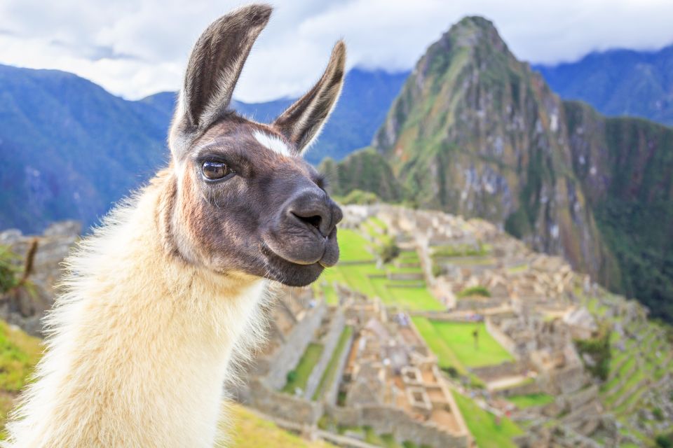 From Cusco: Machu Picchu and Sacred Valley 2-Day Tour