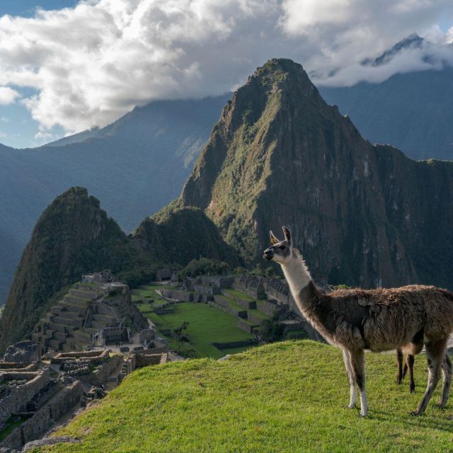 From Cusco: Machu Picchu + Huayna Picchu Mountain