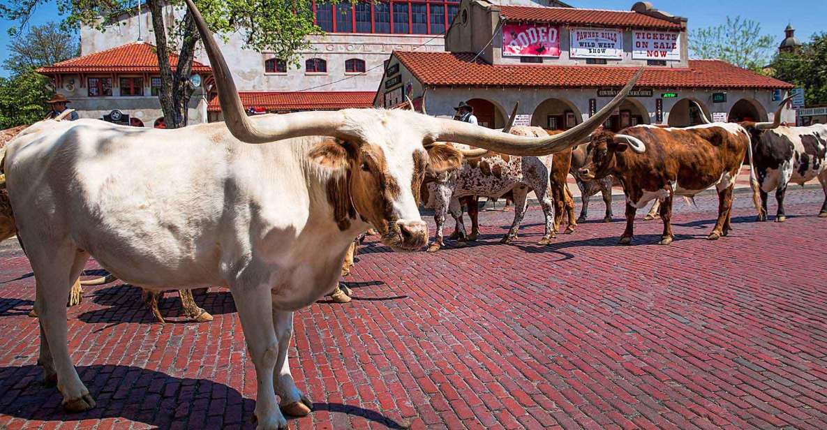 From Dallas: Fort Worth Guided Day Tour