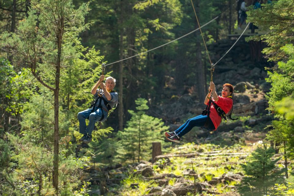 From Durango: Narrow Gauge Railroad & Ziplining With Dining