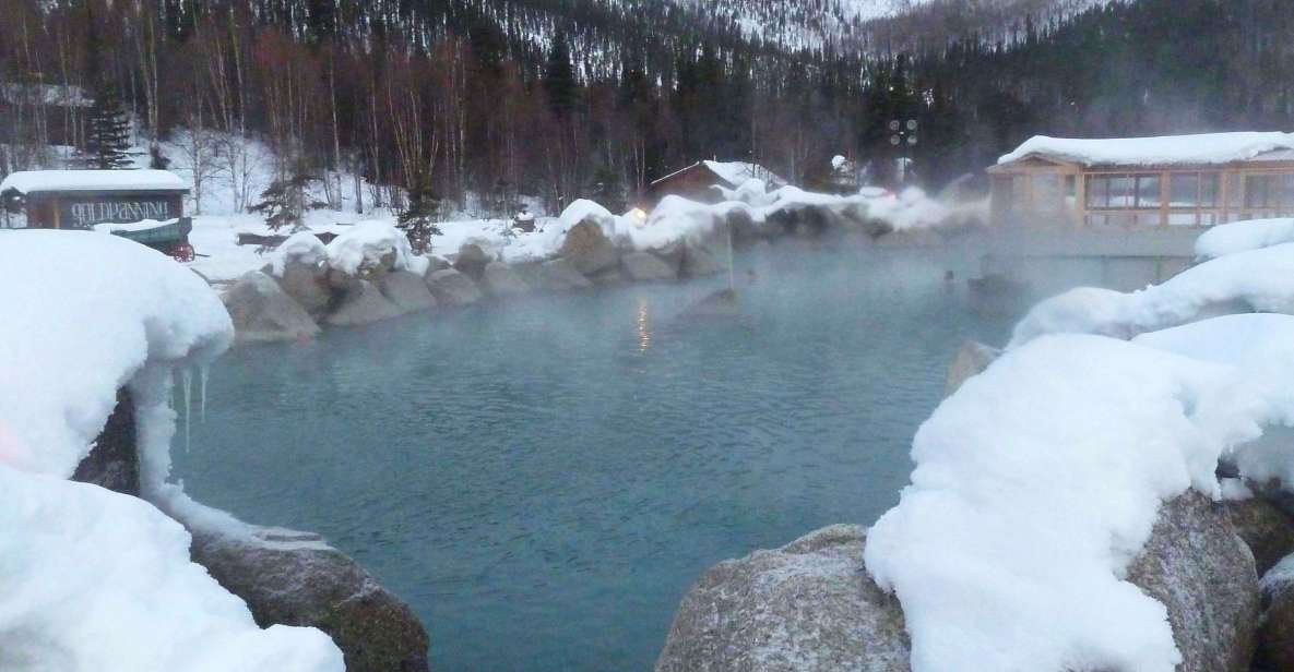 From Fairbanks: Chena Hot Springs Northern Lights Tour