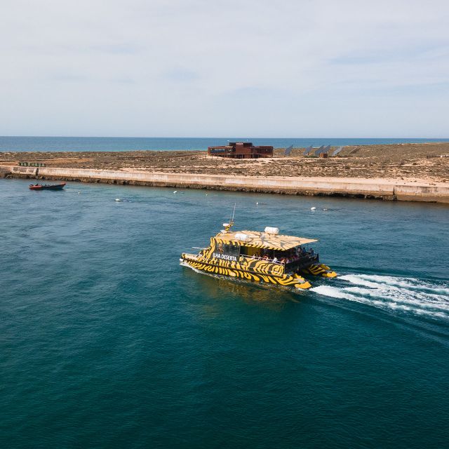 From Faro: Catamaran Boat Trip to Deserta Island With Stop - Trip Overview