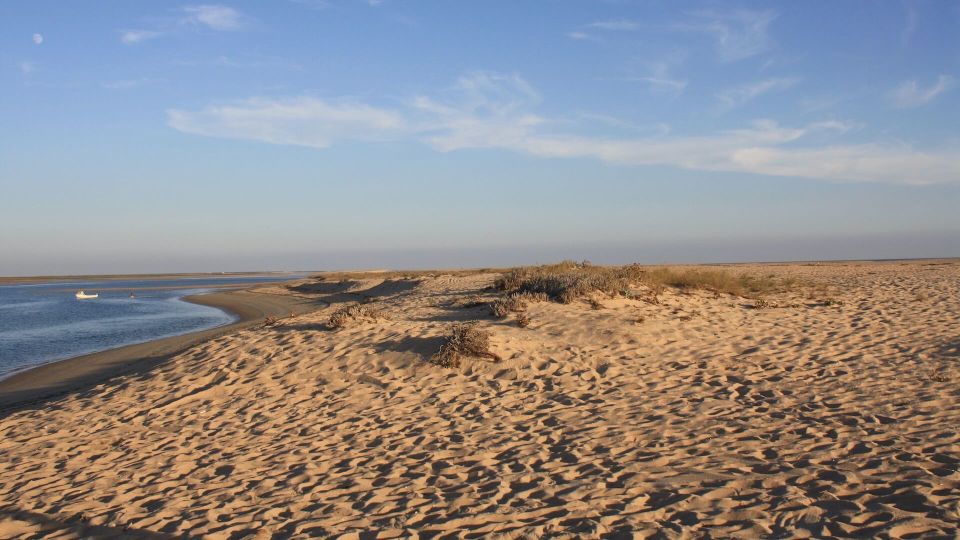 From Faro: Ria Formosa Eco-friendly Solar Boat Tour