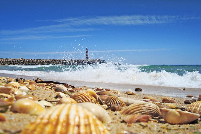 From Faro: Ria Formosa Eco Tour Guided by Marine Biologist