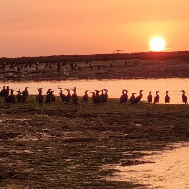 From Faro: Ria Formosa Islands Sunset Catamaran Cruise