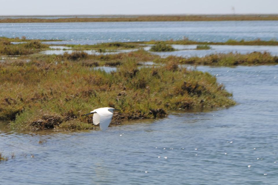 From Faro: Ria Formosa Lagoon Boat Tour With Local Guide