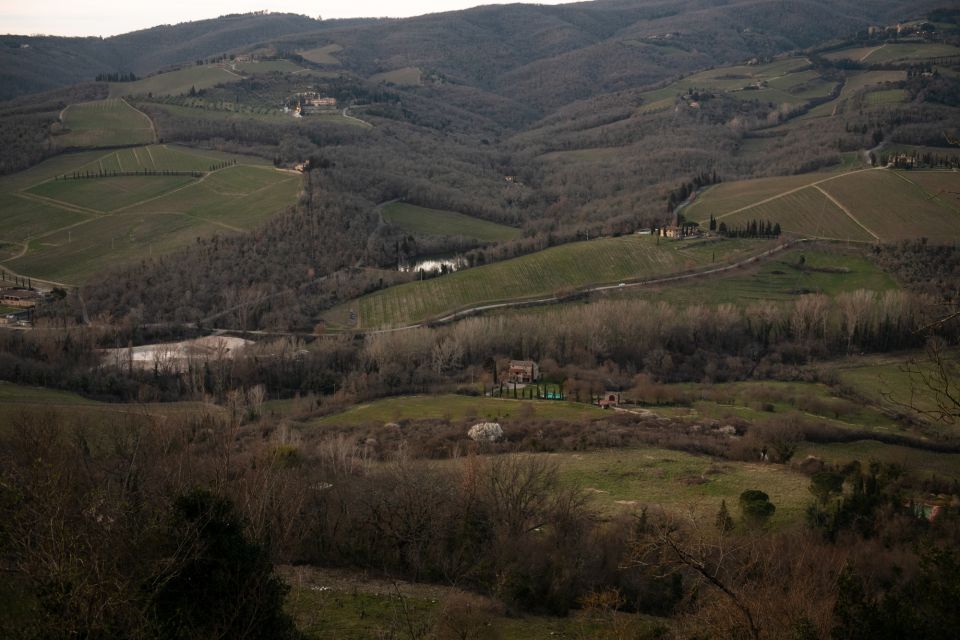 From Florence: Chianti Hills Wineries Tour With Tasting