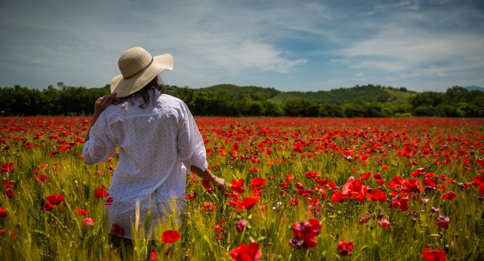 From Florence: Chianti Wine and Tuscan Countryside Tour