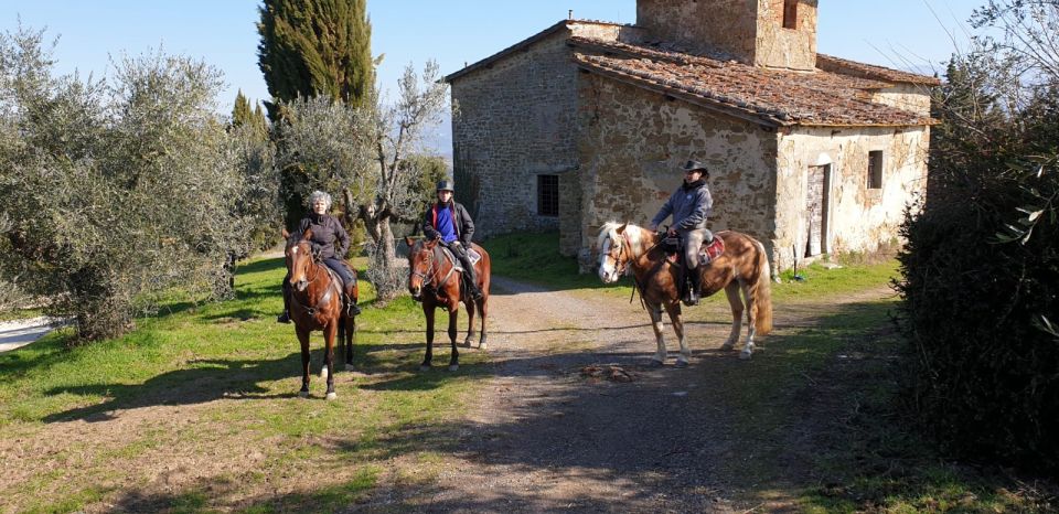 From Florence: Horse Ride and Wine Tour at Estate With Lunch