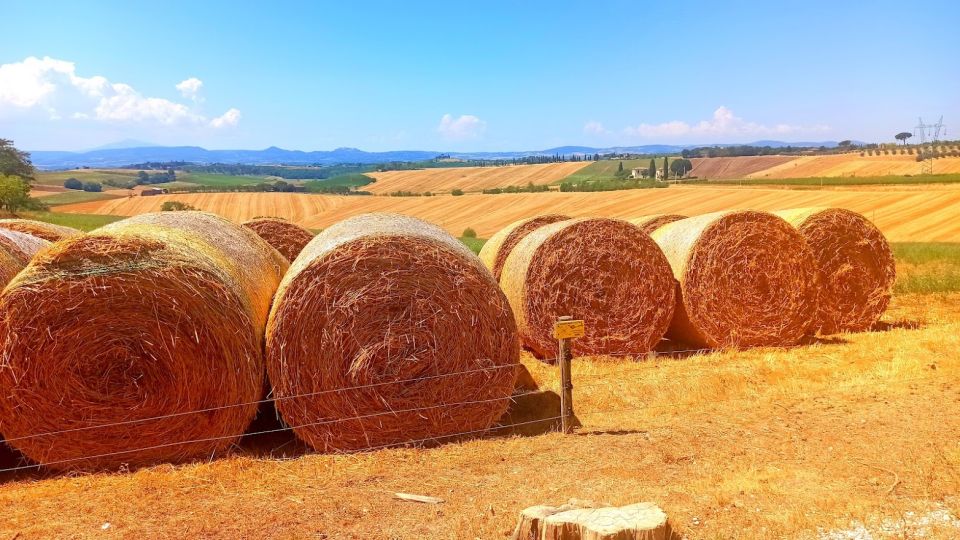 From Florence: Ramble Through the Hills of Chianti