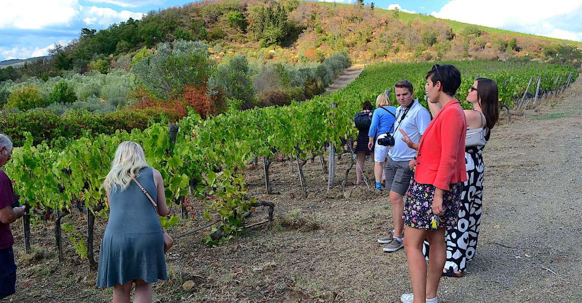 From Florence: Small-Group Chianti Wine Tour