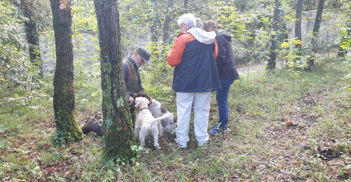 From Florence: Truffle Hunt and Lunch in the Countryside